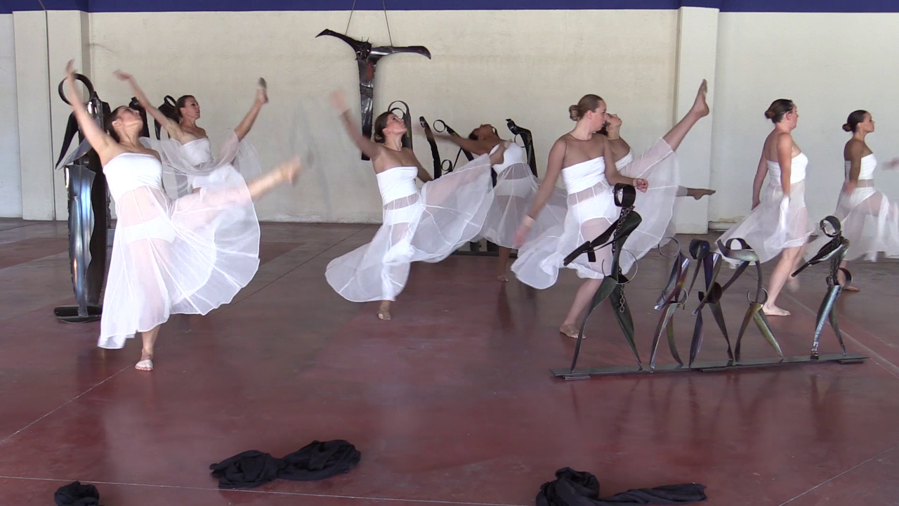 10 danse BDS.jpg
